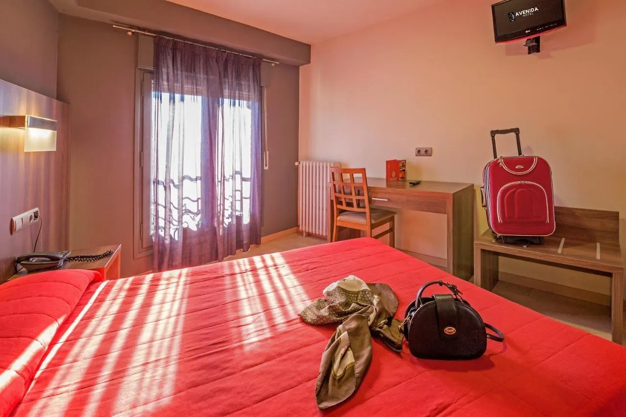 Hotel Avenida La Seu d'Urgell